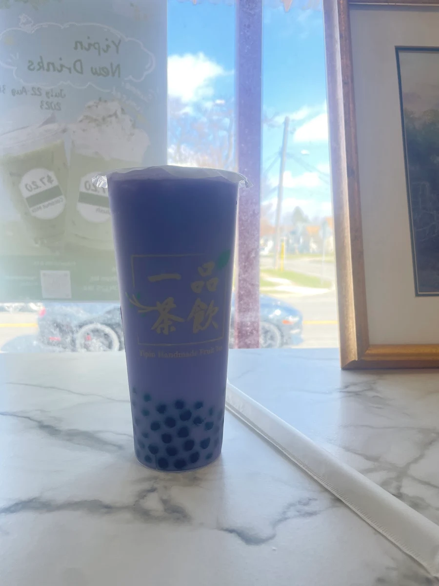 fresh blueberry green tea 700ml 蓝莓多多 700ml